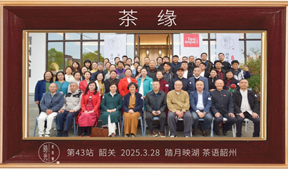 广州茶博会 天津茶博会